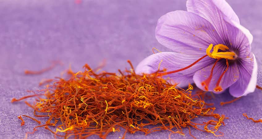 تصویر 1 از خرید زعفران سر گل شکسته + قیمت فروش استثنایی