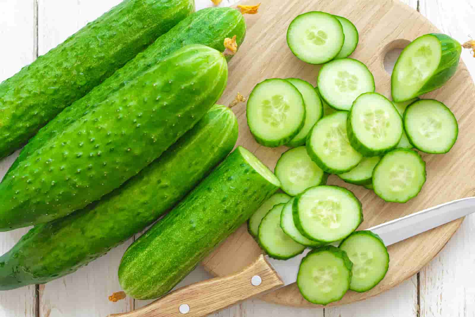تصویر 1 از خرید و فروش خیار بوته ای خاردار با شرایط فوق العاده