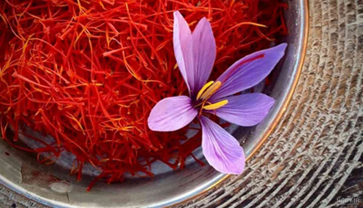 تصویر 4 از قيمت خرید زعفران اصیل ایرانی + فروش ویژه