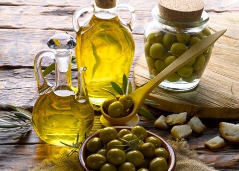 تصویر 2 از خرید و قیمت روغن زیتون فرابکر + فروش عمده