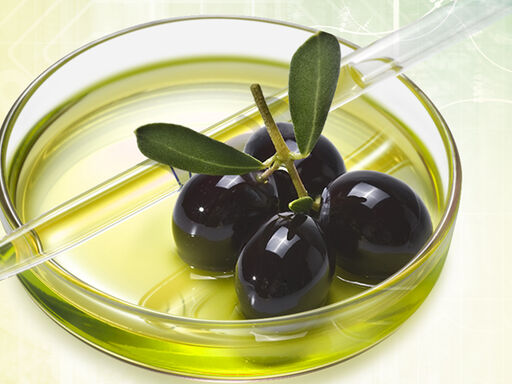 فروش روغن زیتون بکر اصل + قیمت خرید به صرفه