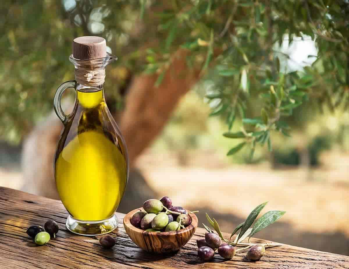 تصویر 2 از فروش روغن زیتون بکر اصل + قیمت خرید به صرفه