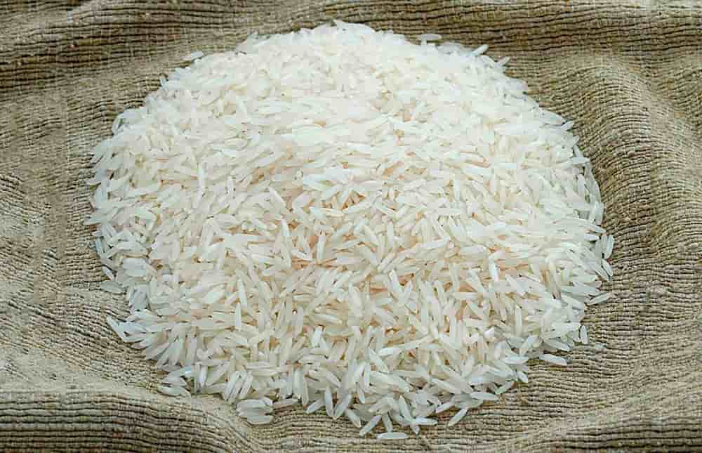 تصویر 1 از خرید و فروش برنج هاشمی شمال با شرایط فوق العاده