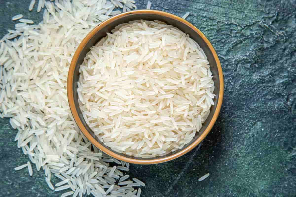 تصویر 2 از خرید و فروش برنج هاشمی شمال با شرایط فوق العاده
