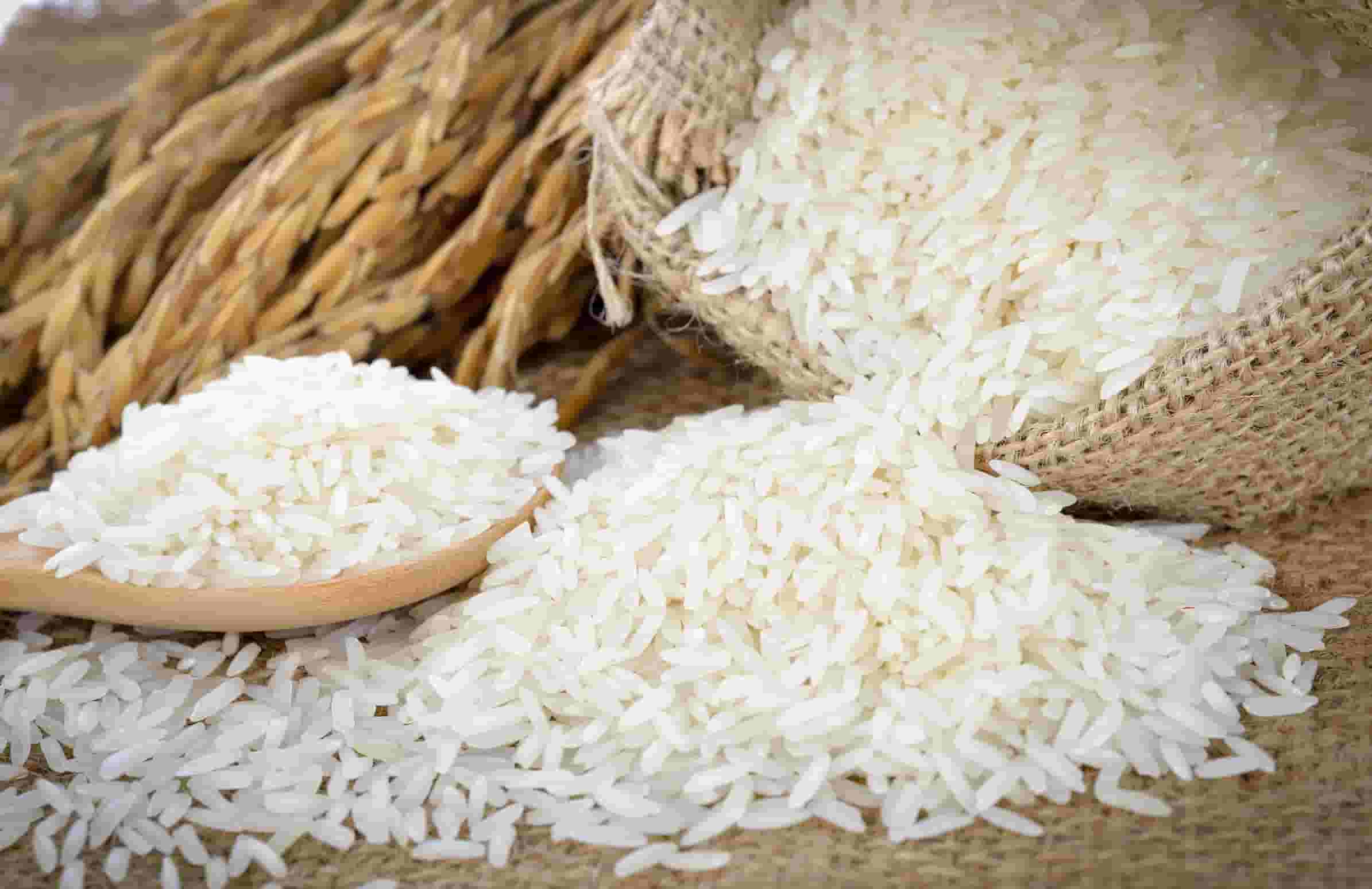 تصویر 3 از خرید برنج هاشمی ممتاز مازندران + قیمت فروش استثنایی