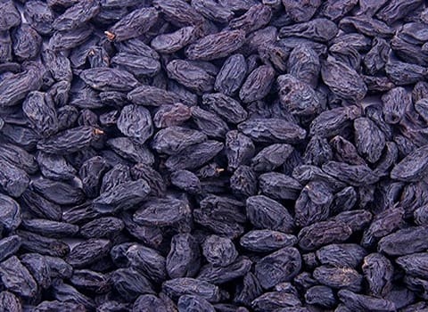 تصویر 4 از قیمت خرید کشمش سیاه سایه خشک + فروش ویژه