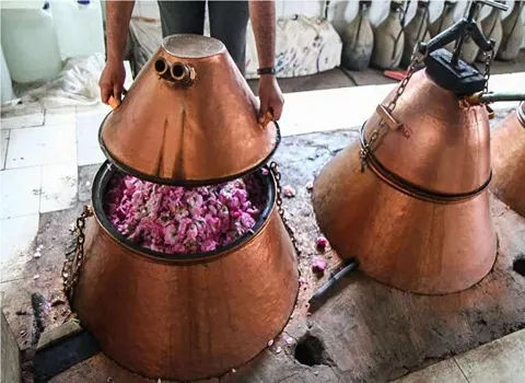 تصویر 2 از خرید گلاب دو آتیشه درجه یک + قیمت فروش استثنایی