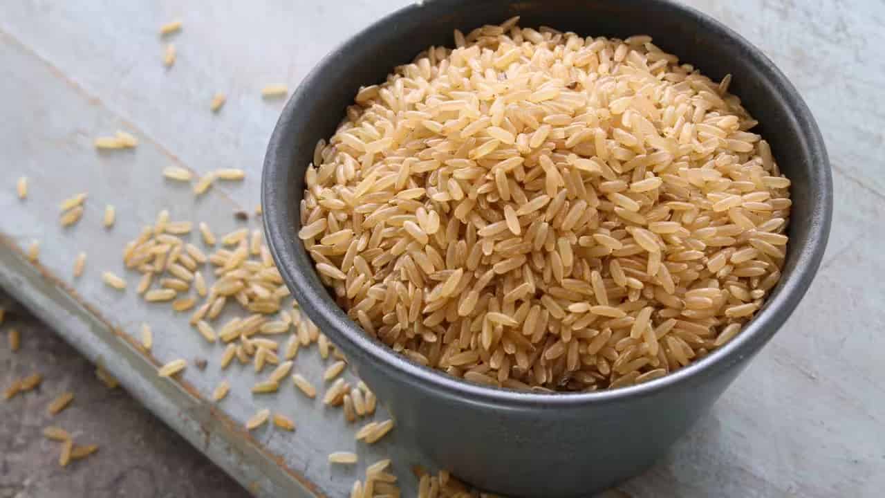قیمت روز برنج هاشمی قهوه‌ ای