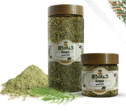 گیاه آویشن