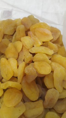خرید قیصی با ضمانت برگشت