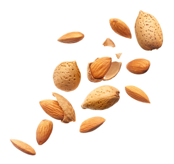 تصویر 4 از قیمت مغز بادام درختی + خرید باور نکردنی