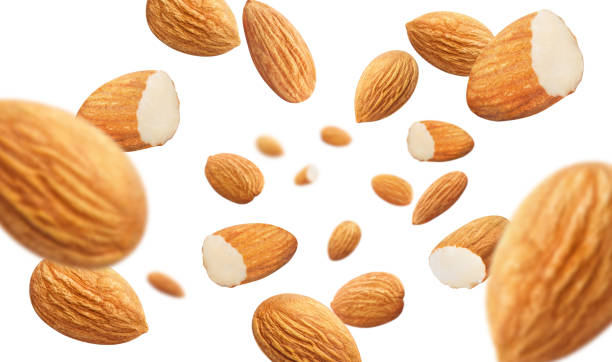 تصویر 5 از قیمت مغز بادام درختی + خرید باور نکردنی
