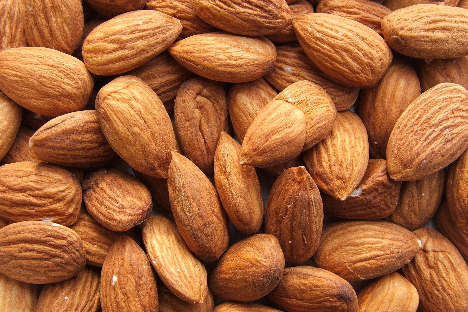 تصویر 3 از خرید و فروش مغز بادام درختی با شرایط فوق العاده