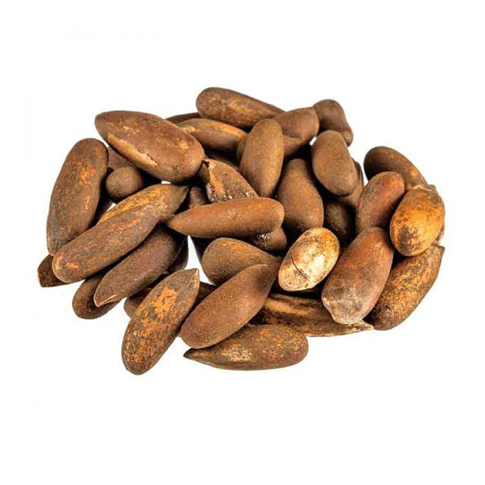 تصویر 1 از خرید عمده تخمه چلغوز + قیمت رقابتی