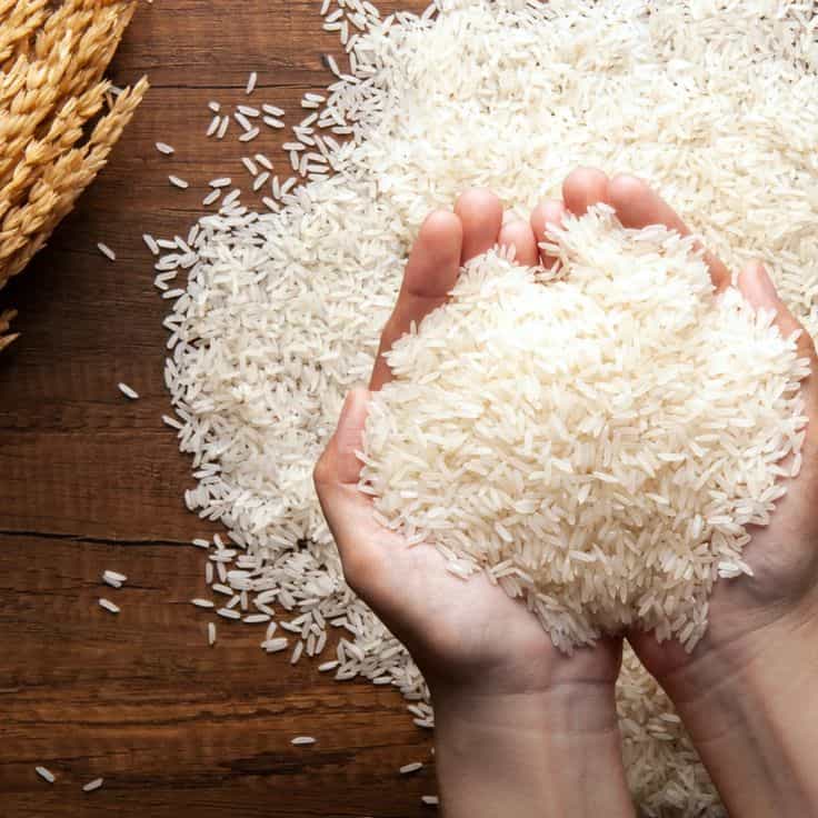 تصویر 3 از خرید برنج هاشمی اعلا + قیمت فروش استثنایی