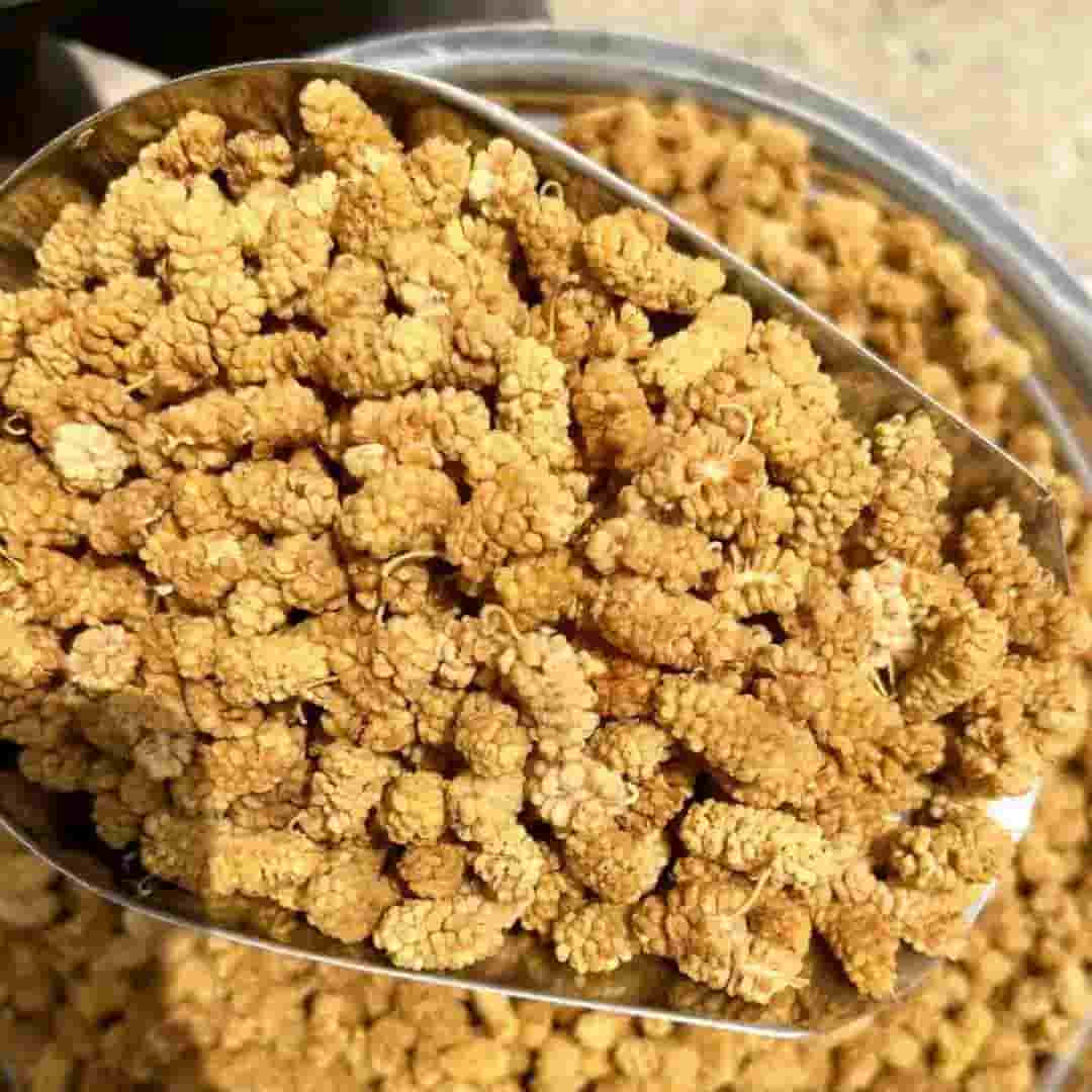 تصویر 4 از قیمت شاتوت خشک خانگی + خرید باور نکردنی