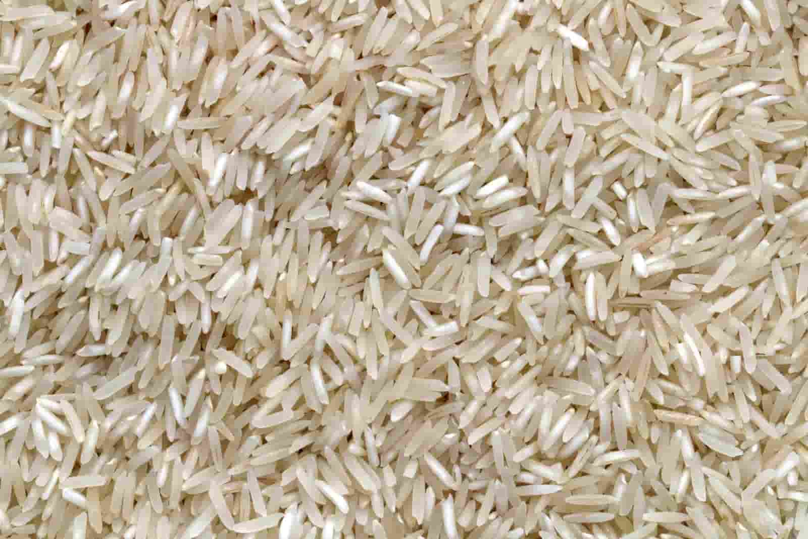 تصویر 2 از خرید برنج هاشمی کشت دوم + قیمت فروش استثنایی