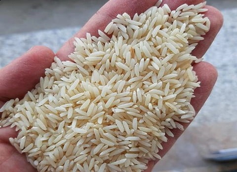 تصویر 1 از قیمت و خرید برنج هاشمی دم سیاه + فروش ارزان