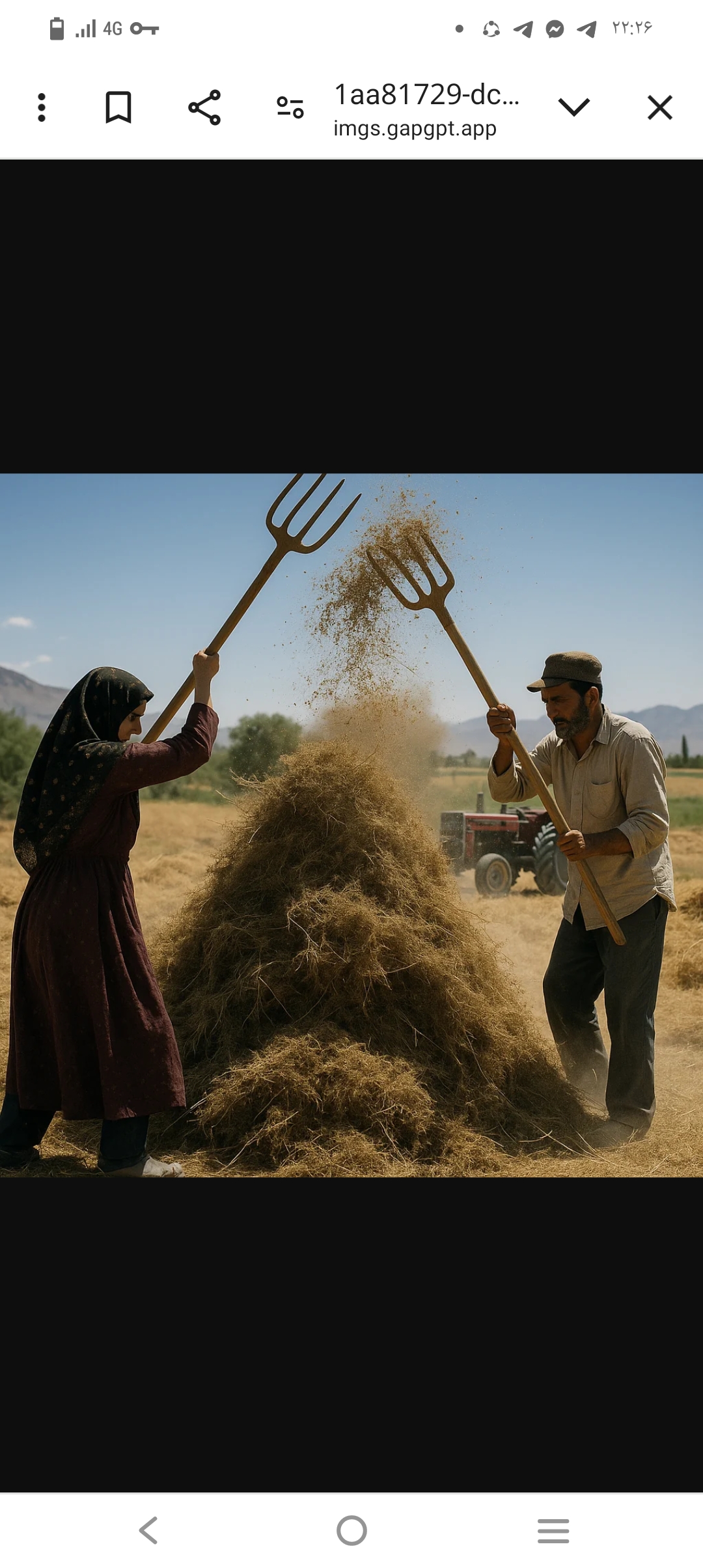 تصویر 1 از فروش گشنیز دارویی و خوراکی کرمانشاه نرخ روز با استاندارد تغذیه ای