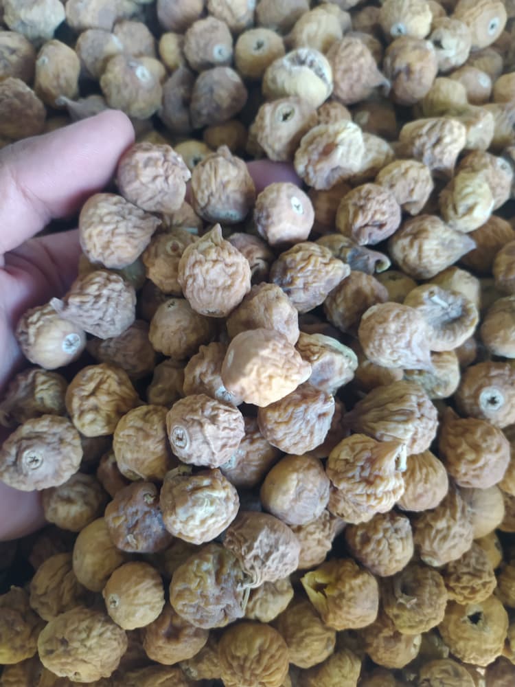 تصویر 1 از پخش عمده و تناژ انواع انجیر خشک فارس + خرید