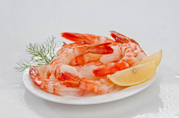 تصویر 2 از خرید میگو پرورشی سایز 50