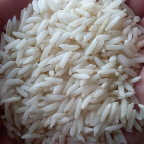 تصویر 4 از قیمت و خرید برنج هاشمی درجه یک گیلان + فروش ارزان