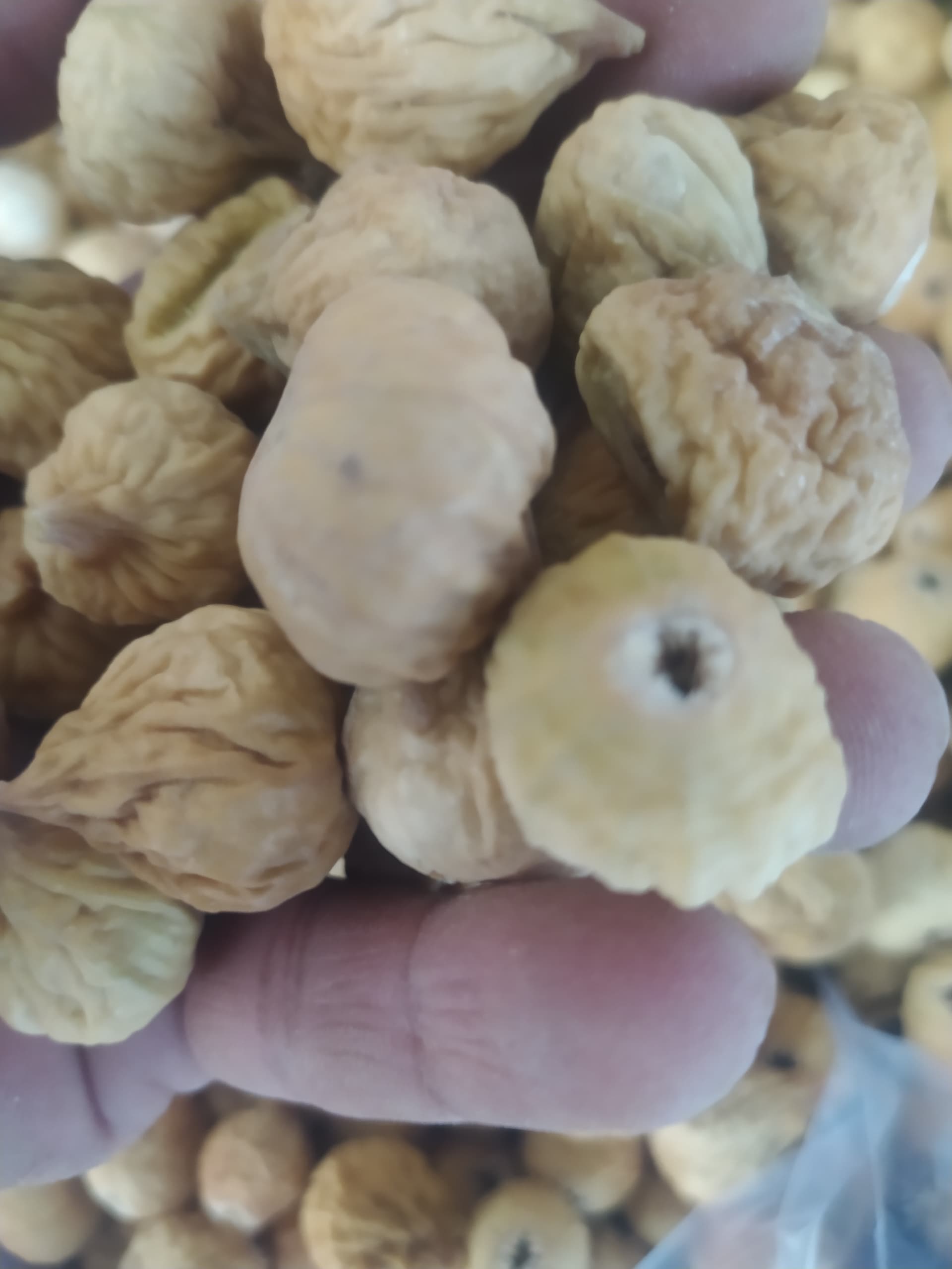 تصویر 1 از خرید انجیر خشک سوپر درشت (AAA) + خرید مستقیم از باغ دار