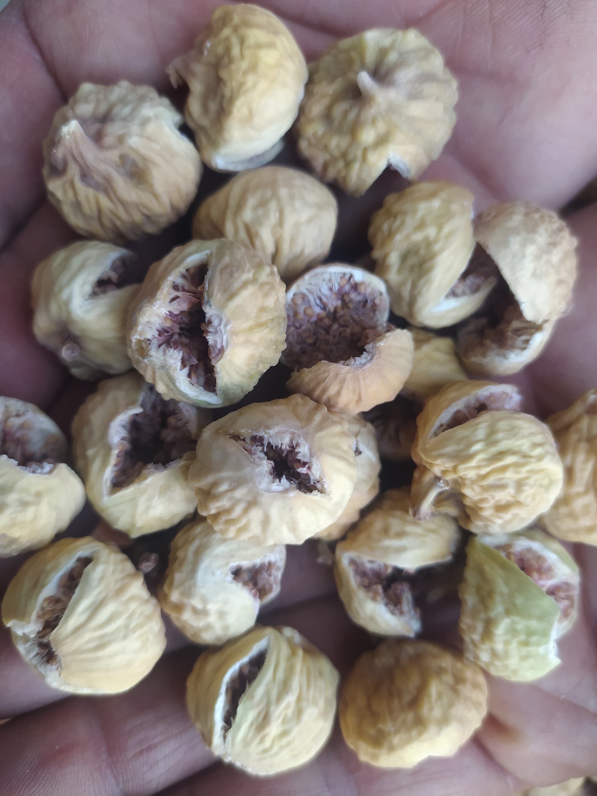 تصویر 1 از فروش به صرفه انجیر صدیک ریز مناسب برای آجیل
