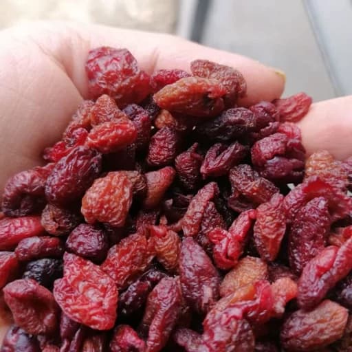 تصویر 3 از خرید و قیمت زغال اخته خشک درشت گوشتی + فروش عمده