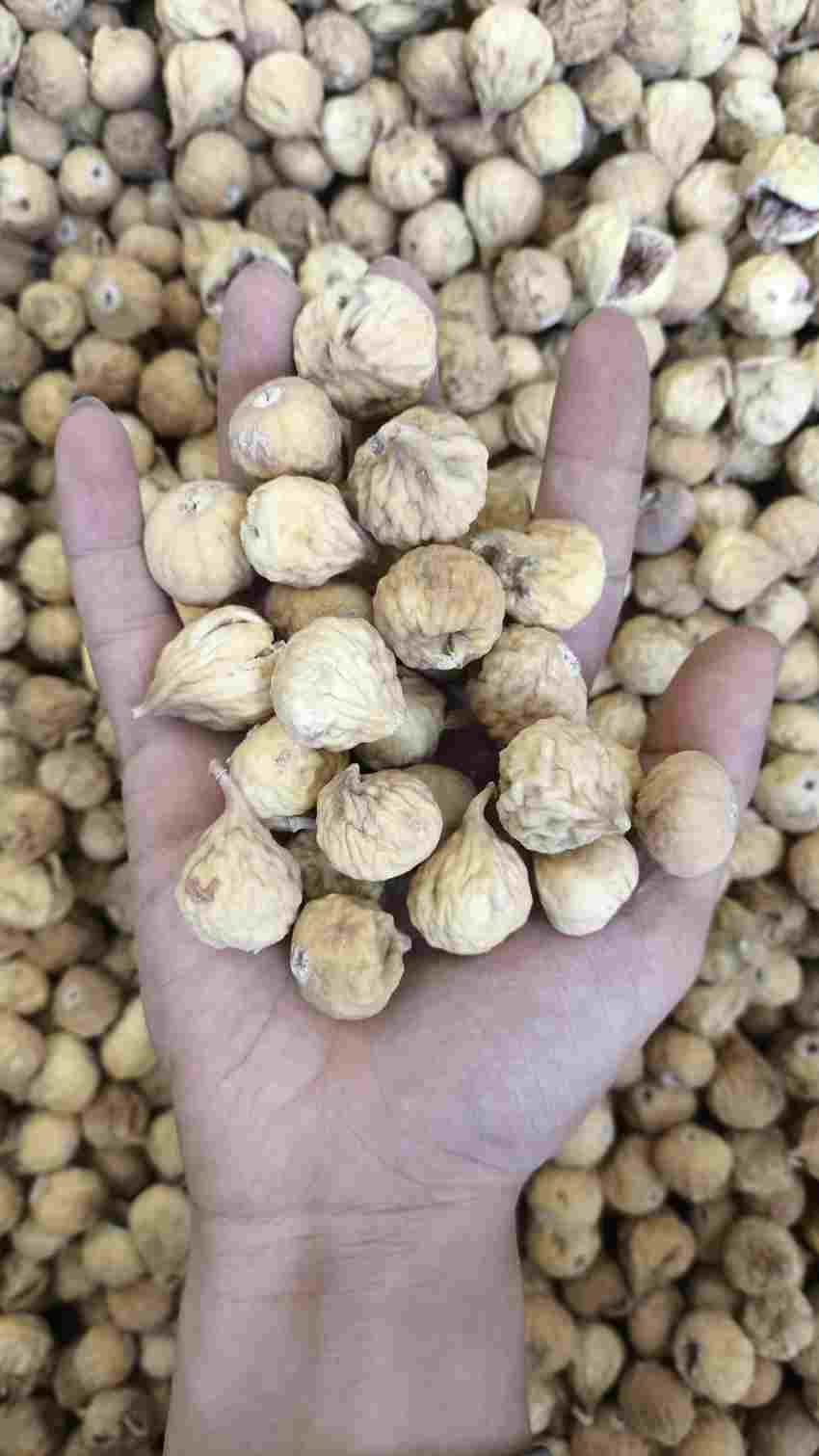 تصویر 5 از قیمت انجیر خشک گوشتی + خرید باور نکردنی