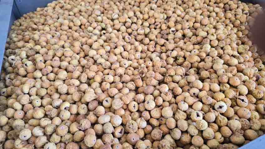 تصویر 4 از قیمت انجیر خشک غنچه + قیمت فوق‌ العاده