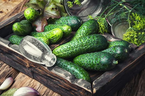 قیمت خرید خیارشور شور کامروز + با فروش عمده