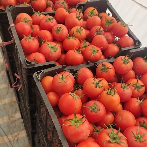 تصویر 5 از قیمت و خرید رب گوجه خانگی غلیظ + فروش ارزان