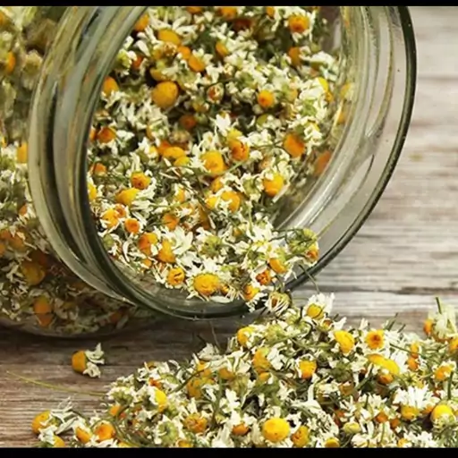 تصویر 4 از خرید عمده بابونه سفید صادراتی کیفیت تضمینی با برند روناکو