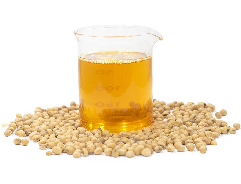 تصویر 1 از مرکز فروش روغن خام سویا گالن 20 لیتری + قیمت باور نکردنی