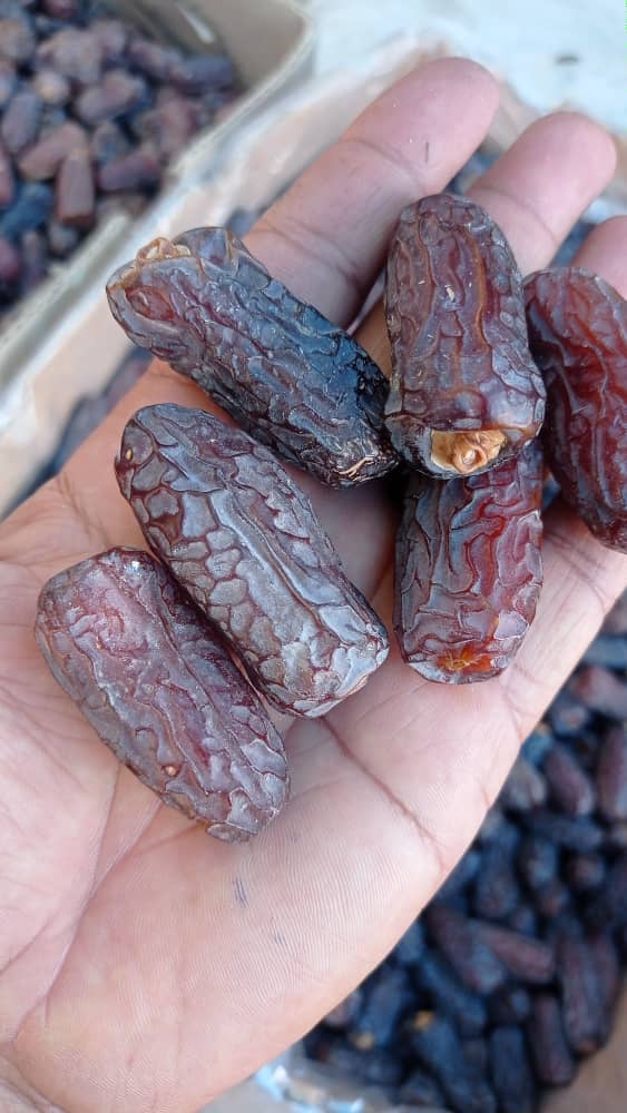 تصویر 2 از قیمت خرید خرما پیارم + فروش ویژه