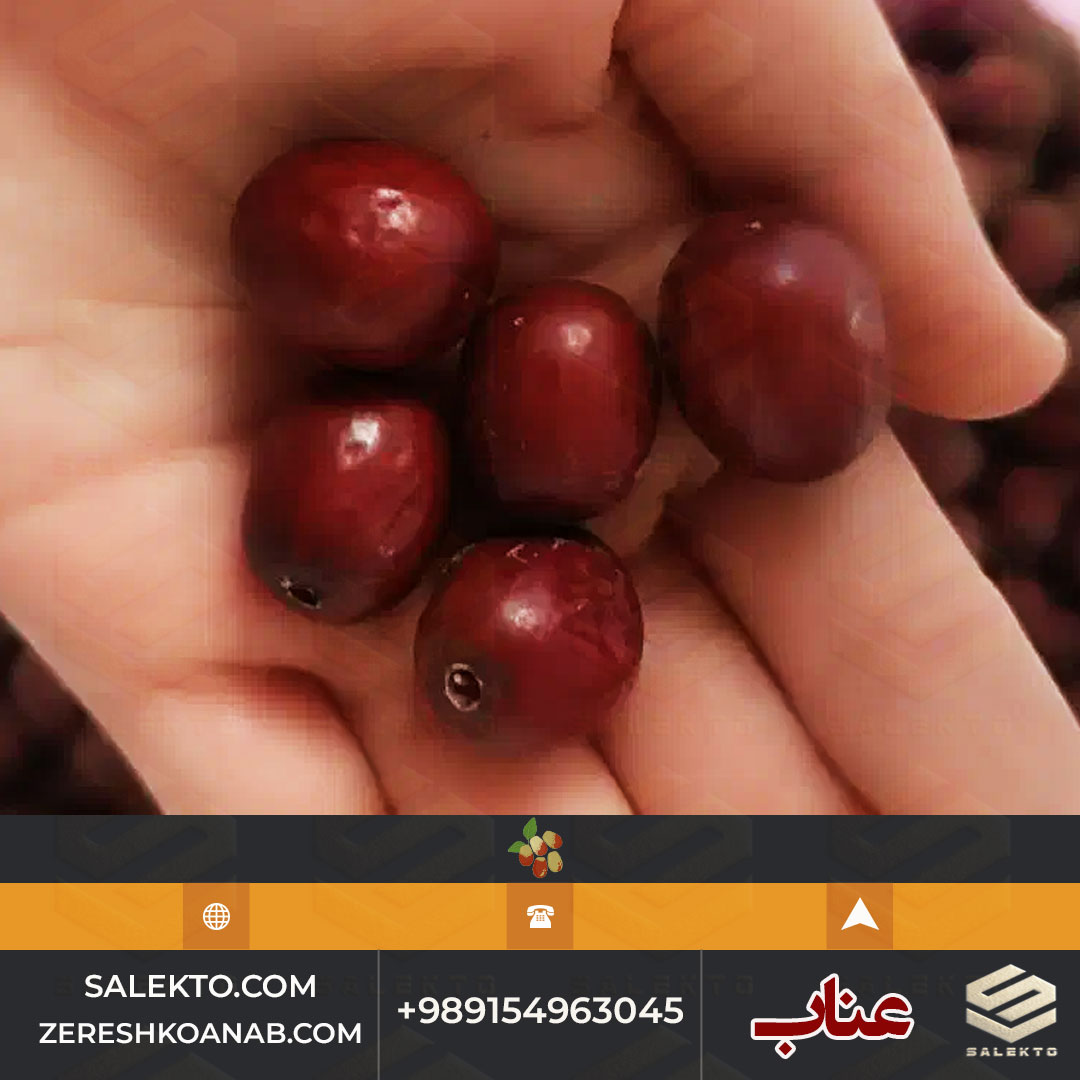 تصویر 5 از خرید عناب خشک بیرجند با بافت نرم و خواص آرام‌ بخش