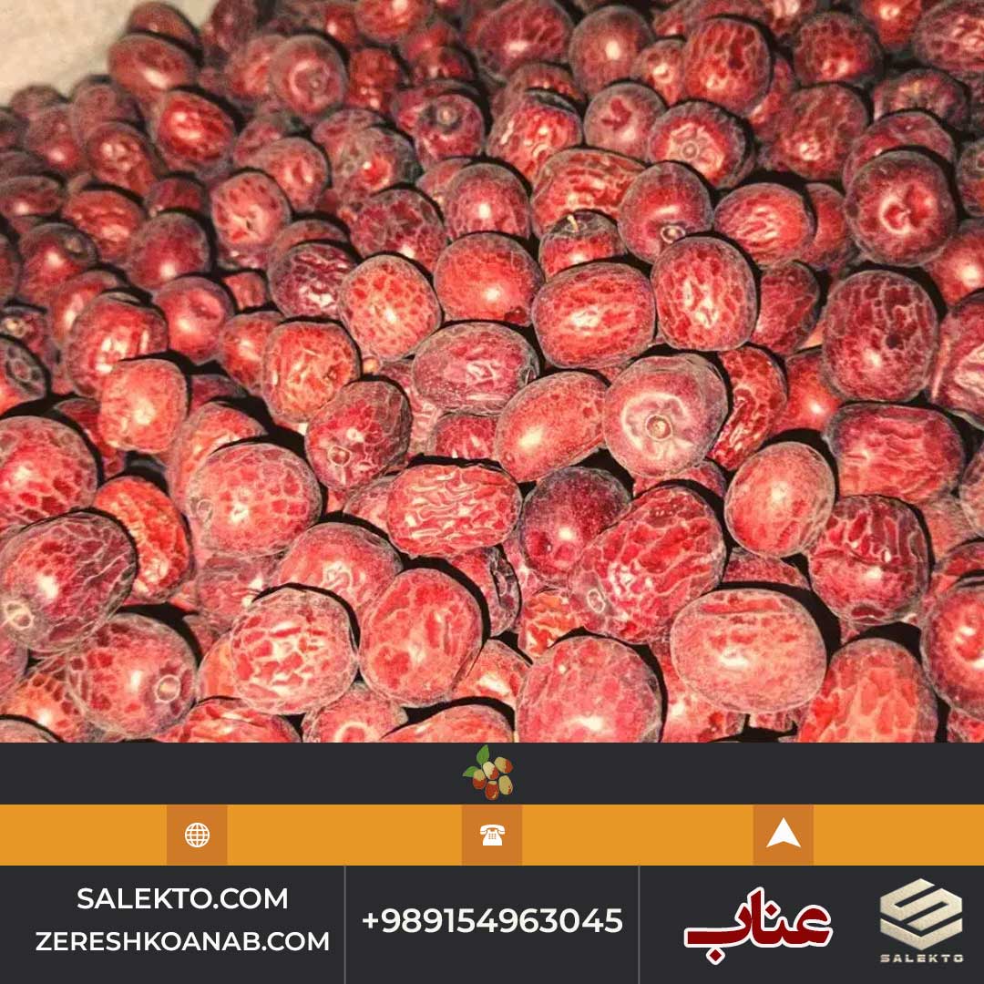 تصویر 2 از خرید عناب خشک بیرجند با بافت نرم و خواص آرام‌ بخش