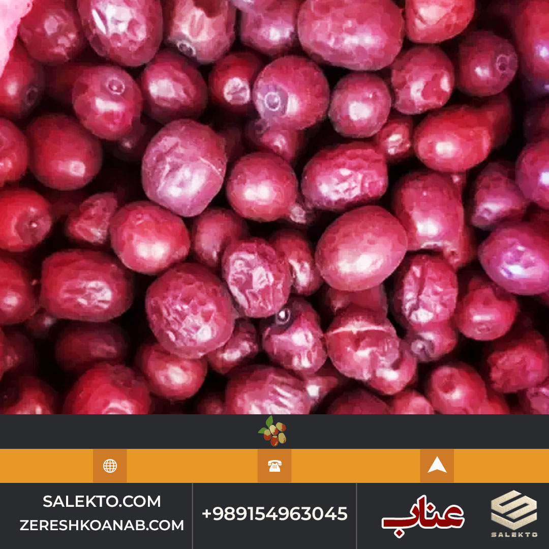تصویر 4 از خرید عناب خشک بیرجند با بافت نرم و خواص آرام‌ بخش