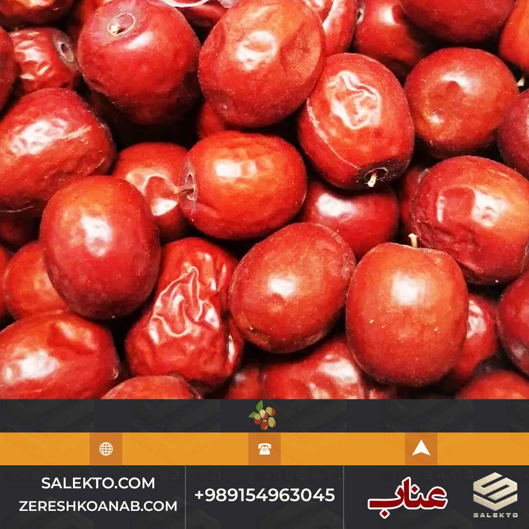 تصویر 3 از عناب درشت خراسان با خواص دارویی و تقویت سیستم ایمنی