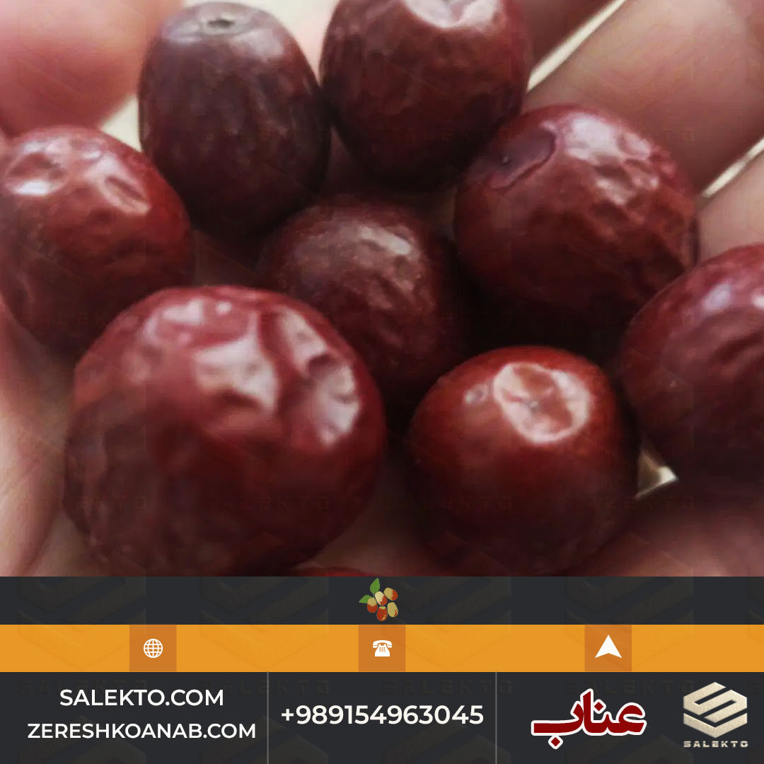 خرید عناب قائنات