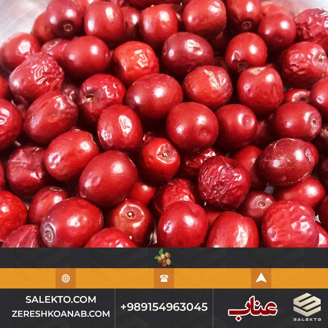 فروش عناب قائنات