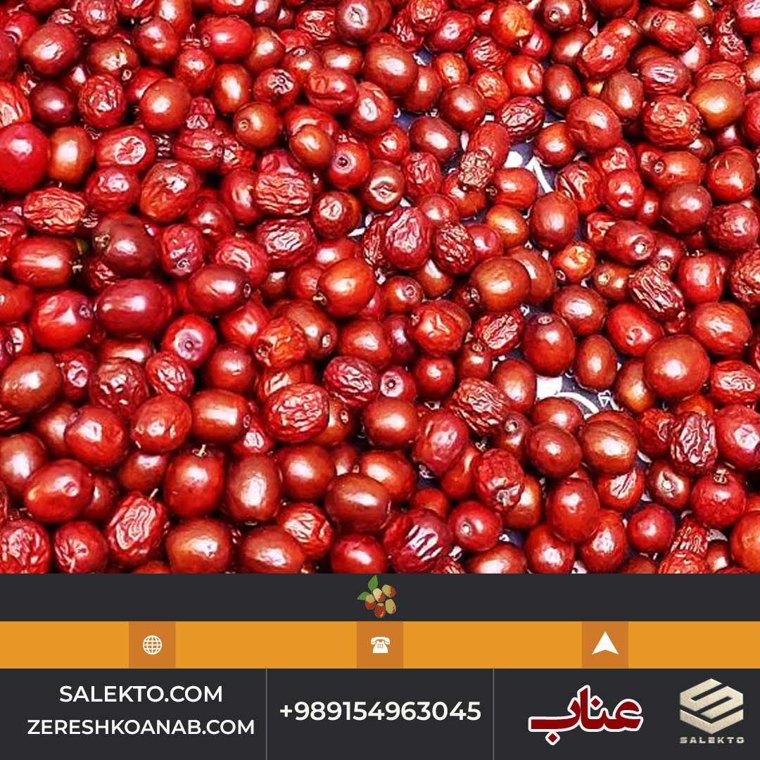 تصویر 4 از خرید عناب لوکس قائنات + فروش ویژه