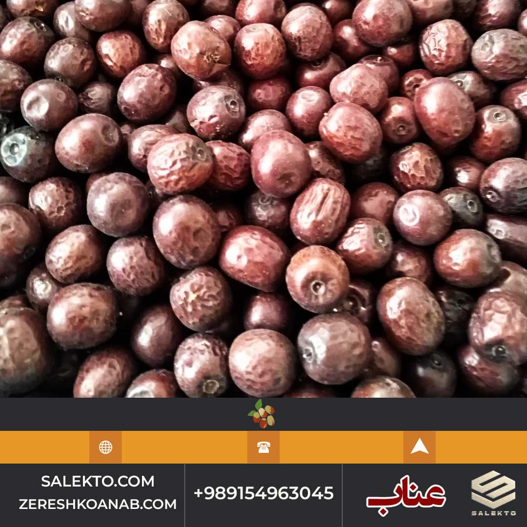 تصویر 5 از خرید عناب امسالی تازه بیرجند با فیبر بالا و طعم ملایم