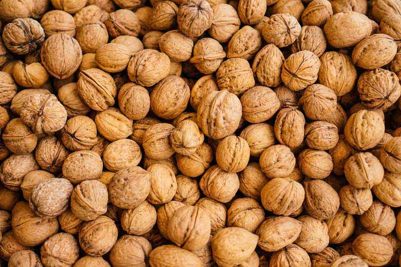 تصویر 1 از گردو با پوست کاغذی آذرشهر مستقیم از کشاورز + با قیمت مناسب