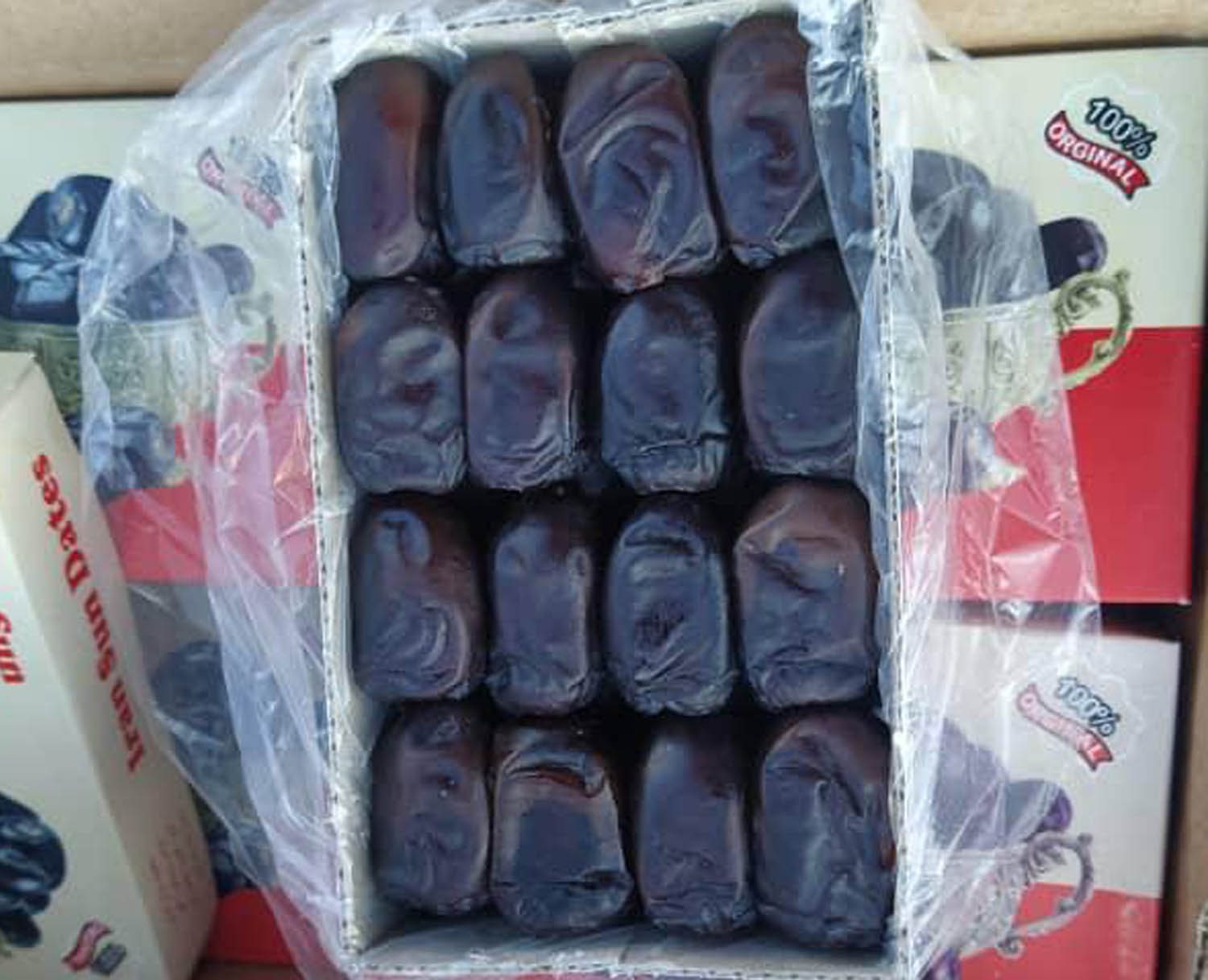 فروش خرما مضافتی صادارت درجه یک بم