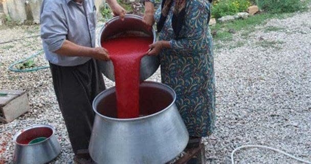 تصویر 3 از رب گوجه فرنگی گرماي طعام روزانه