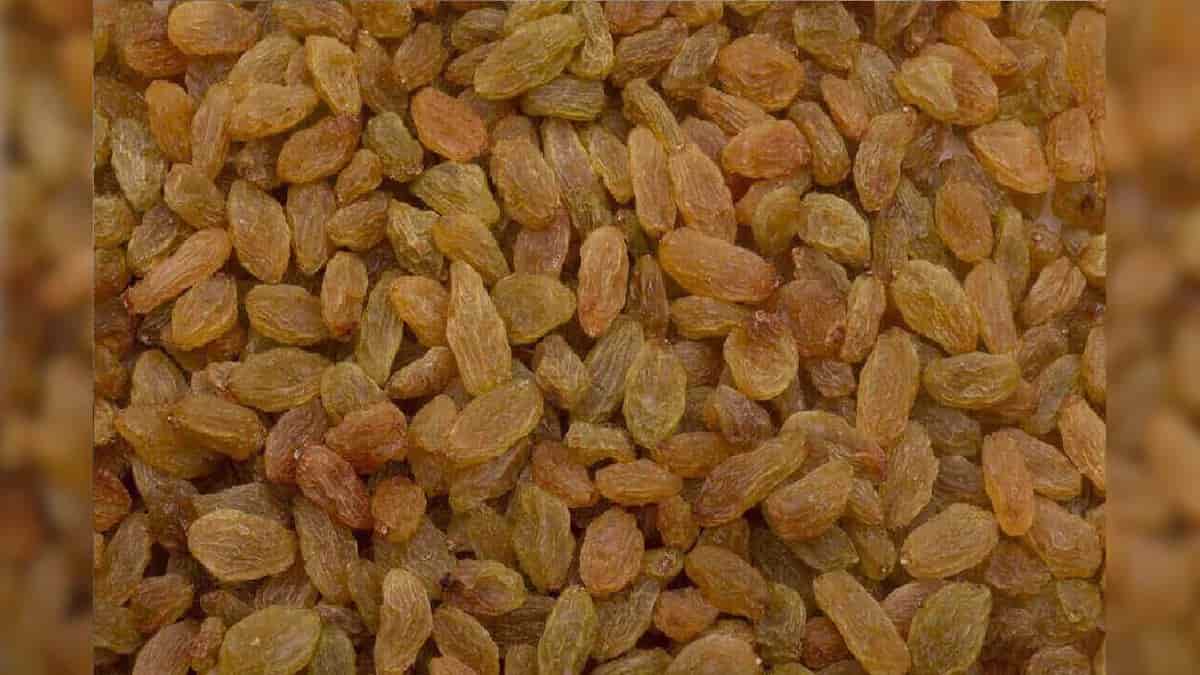 تصویر 1 از بهترین کشمش آفتابی بدون هسته + قیمت خرید عالی