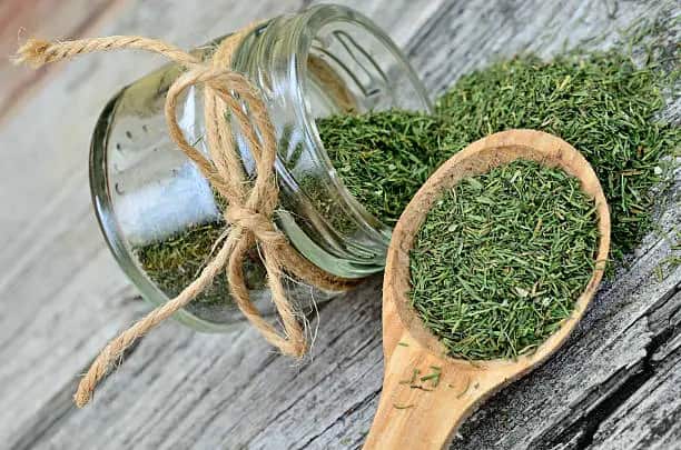 خرید شوید خشک در قرمه سبزی و قیمت فروش استثنایی