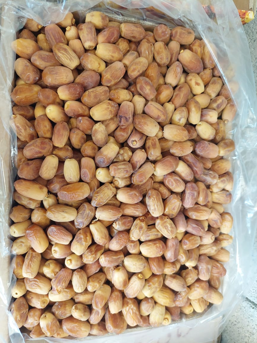 تصویر 3 از خرید فروش انواع خرما زاهدی قصب بوشهر بهترین کیفیت داخلی صادراتی پاکستان و در افغانستان